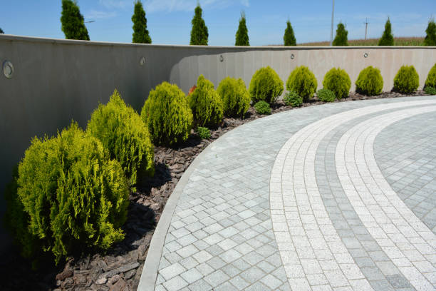 Best Residential Driveway Paver Services  in Viera East, FL